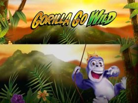 Gorilla Go Wild