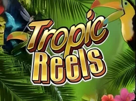 Tropic Reels