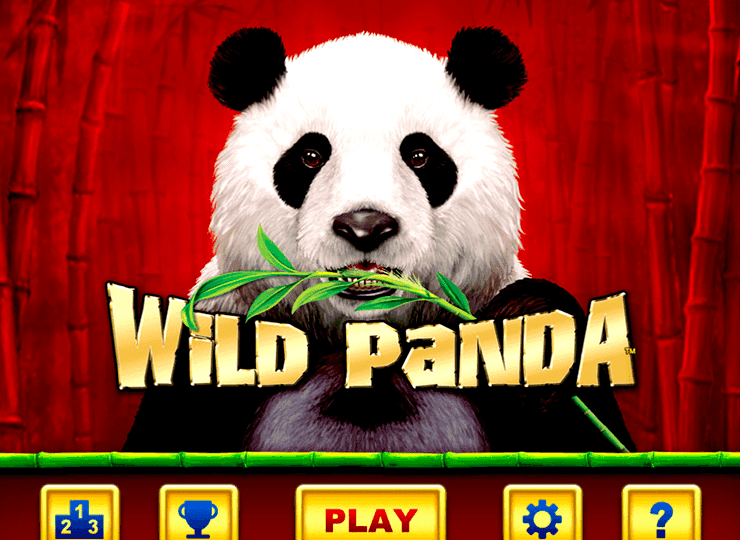 Wild Panda