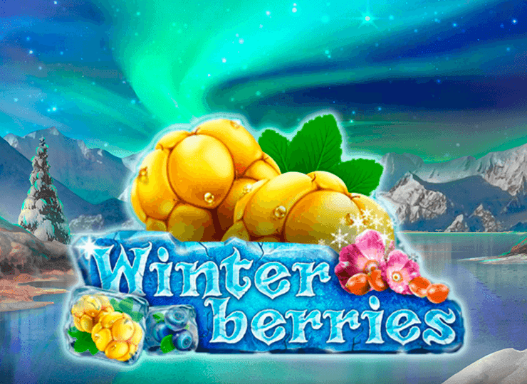 Winter berries