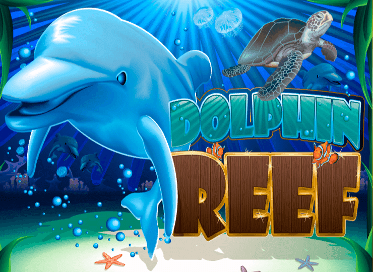 Dolphin Reef