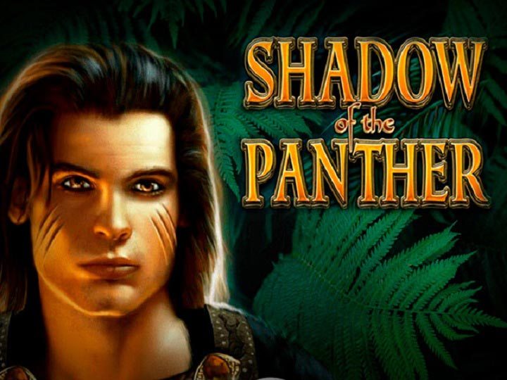 Shadow Of The Panther